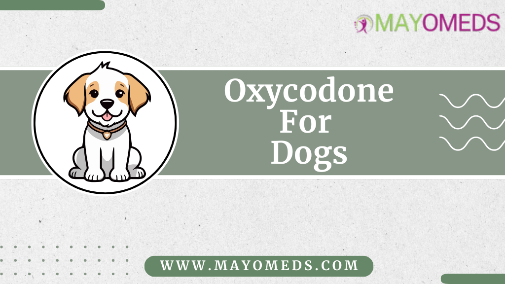Oxycodone For Dogs